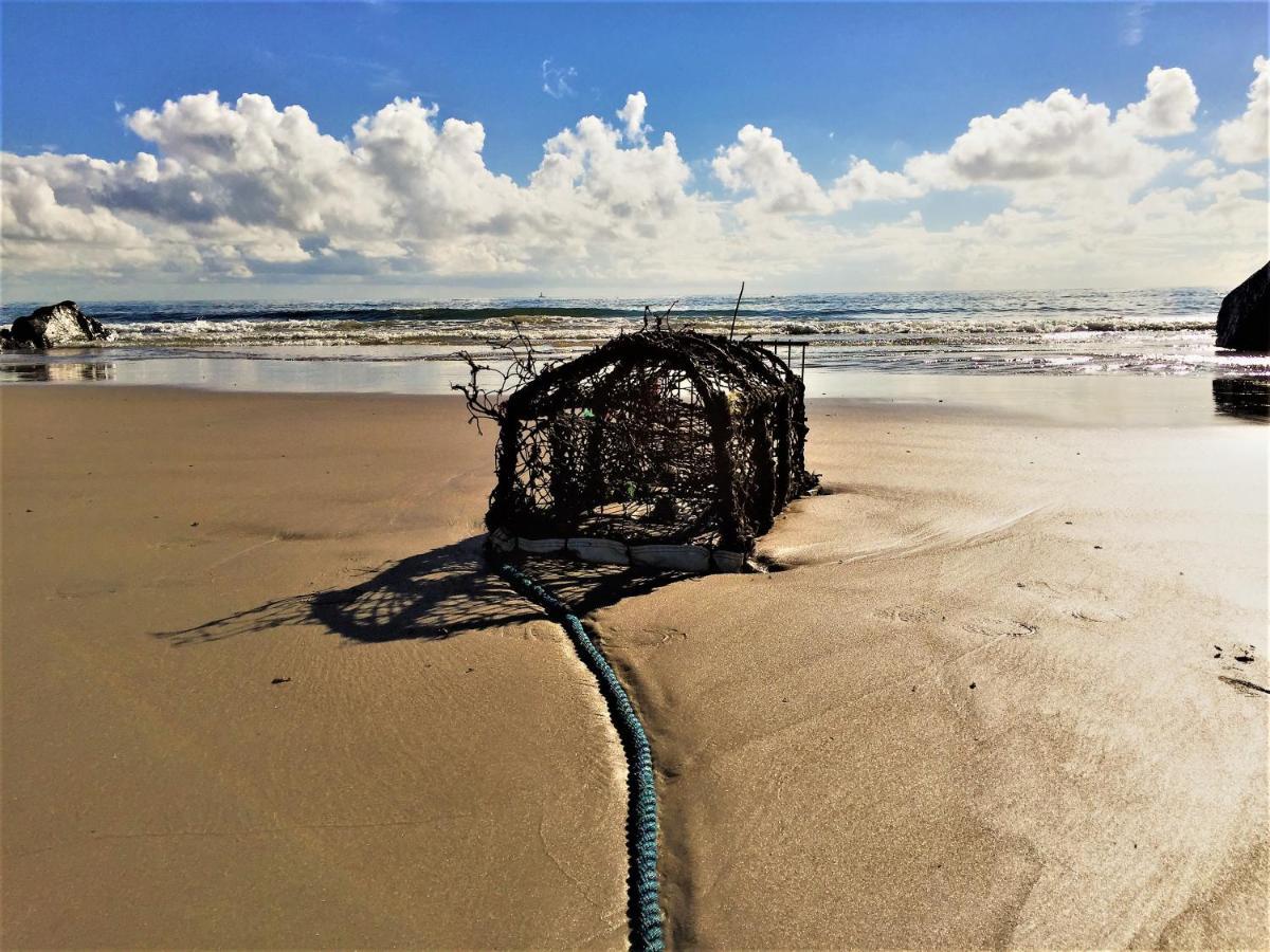 St Awaries Studio, Carne Rosslare Harbour Dış mekan fotoğraf