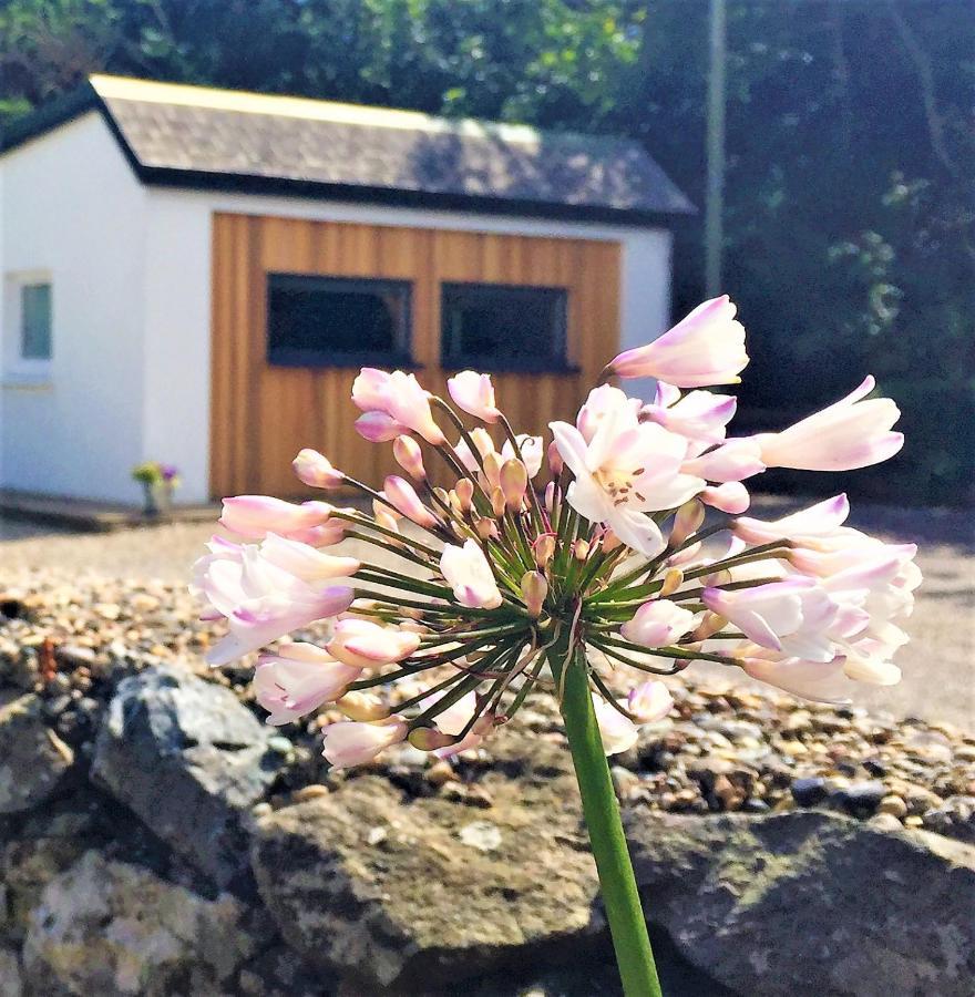 St Awaries Studio, Carne Rosslare Harbour Dış mekan fotoğraf
