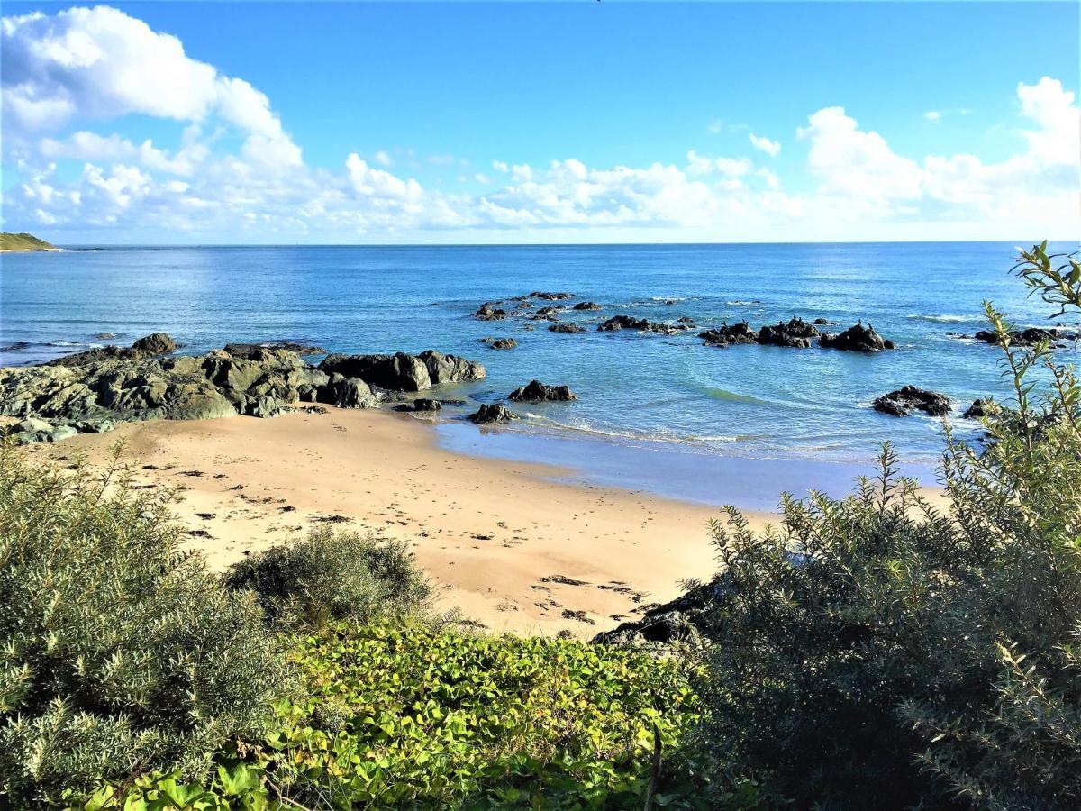 St Awaries Studio, Carne Rosslare Harbour Dış mekan fotoğraf